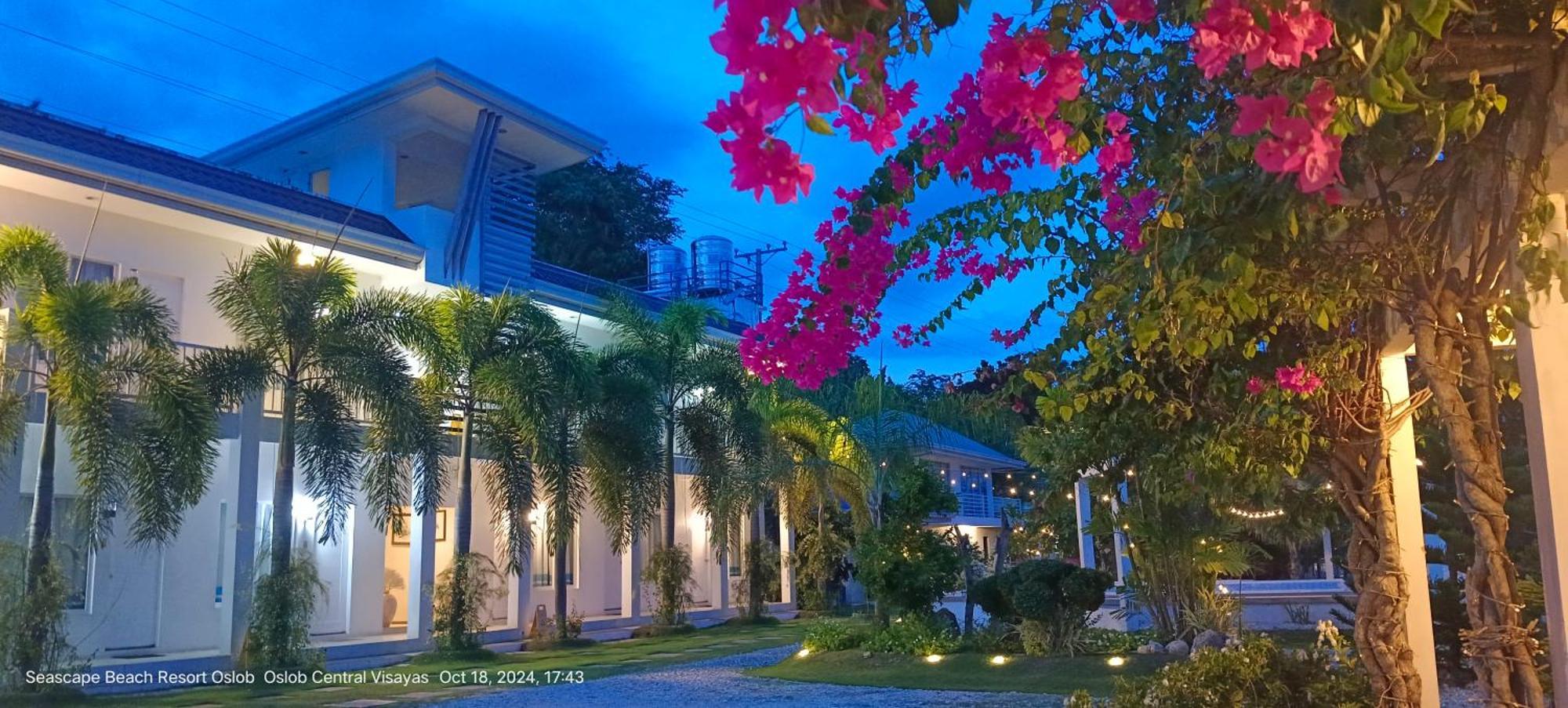 Seascape Beach Resort Oslob Exteriör bild