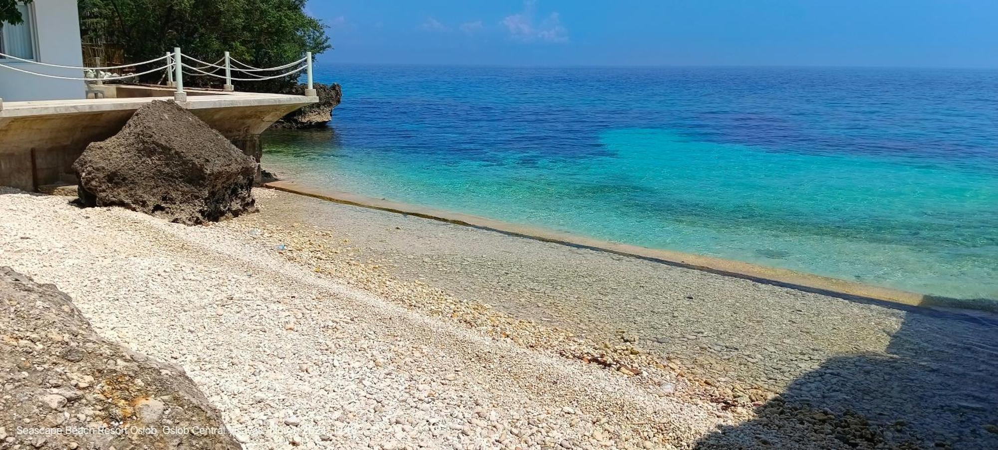 Seascape Beach Resort Oslob Exteriör bild