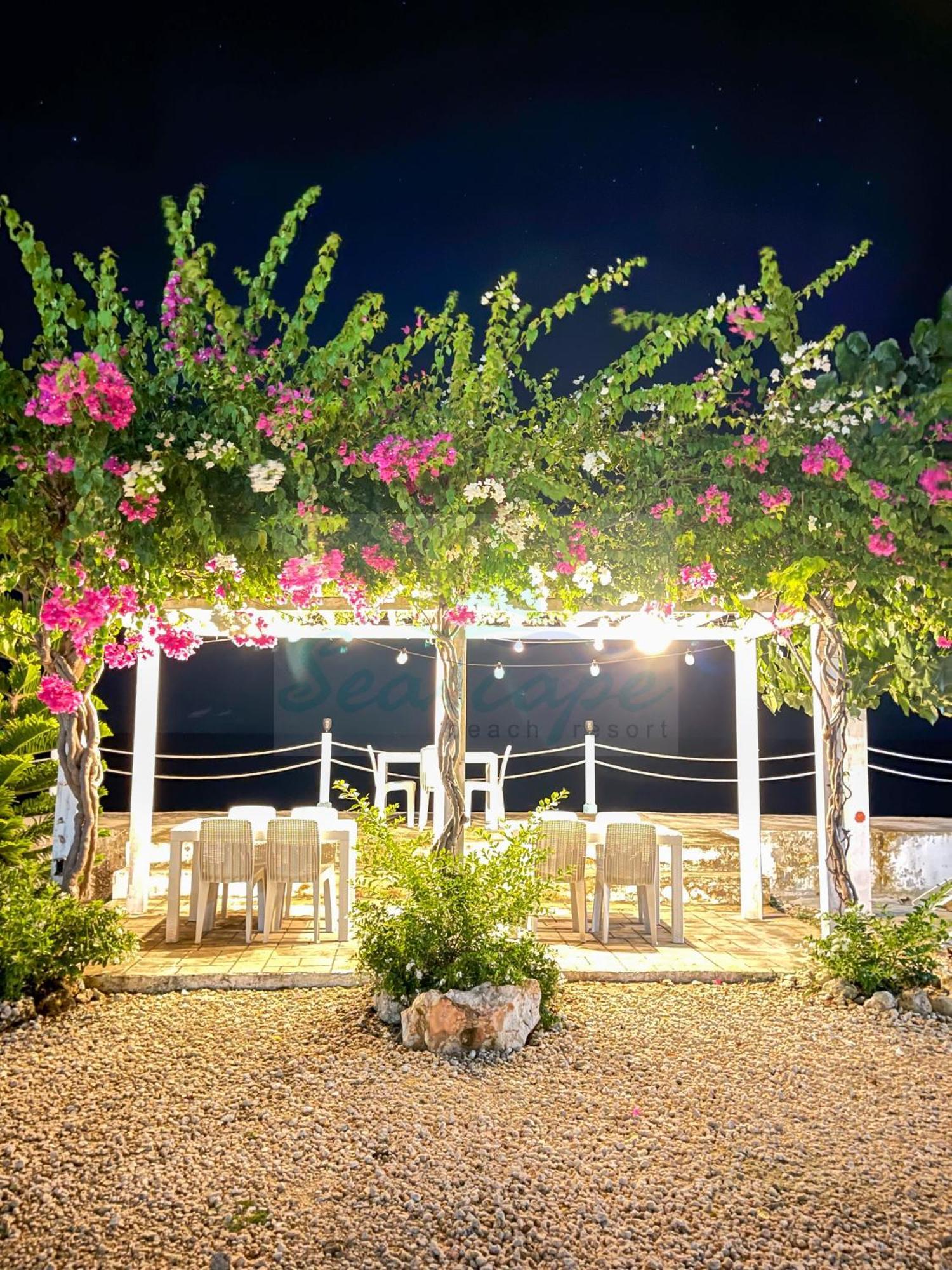 Seascape Beach Resort Oslob Exteriör bild
